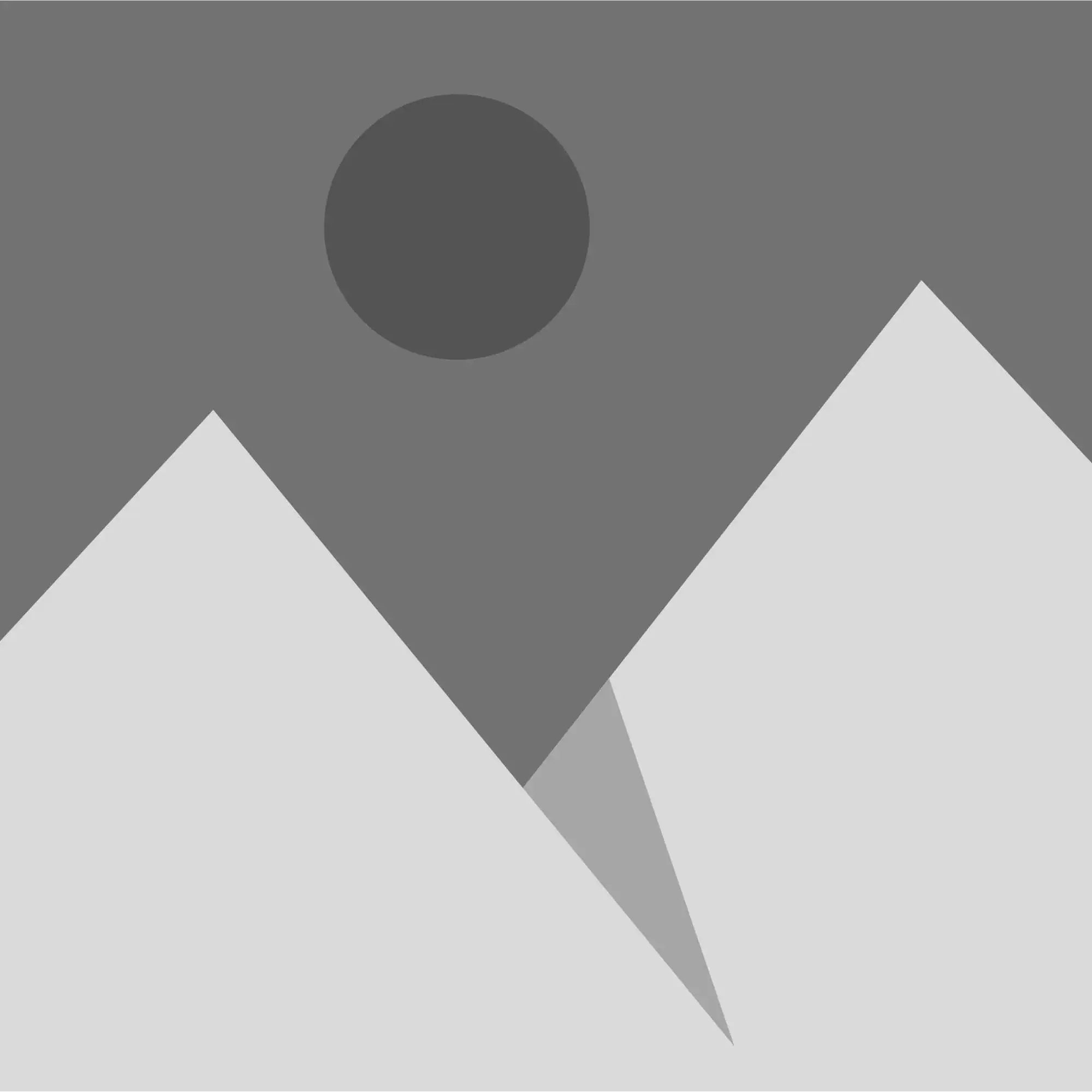 Gray Placeholder Icon Greater Bridgeport Planning Region Connecticut